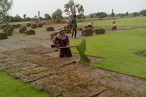 ทำความสะอาดโรงงาน